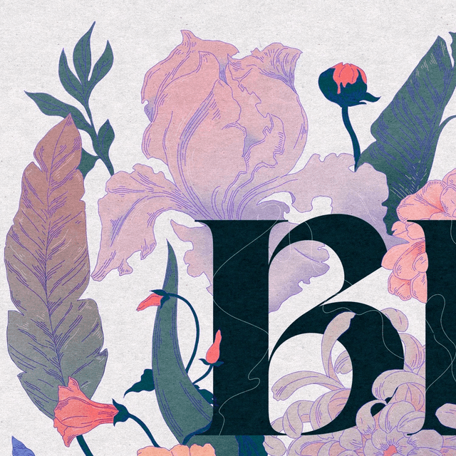 Bloom