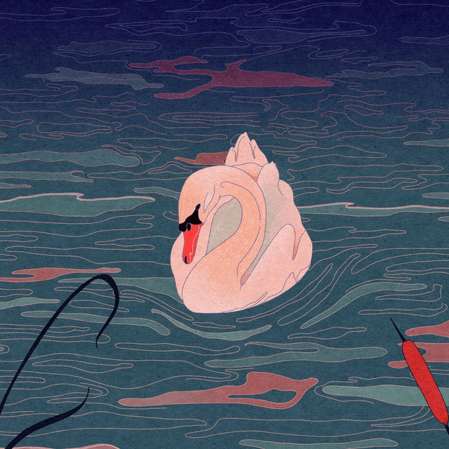 Le cygne